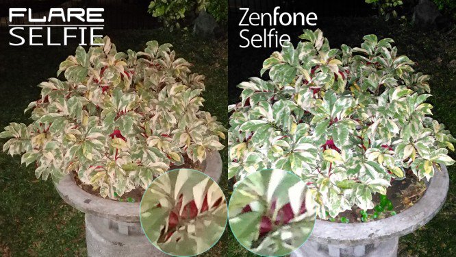 night low cherry flare selfie vs zenfone selfie camera comparison review2